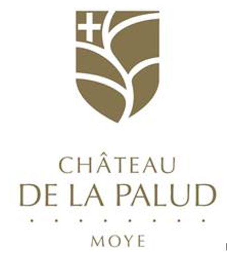 Logo Château De La Palud